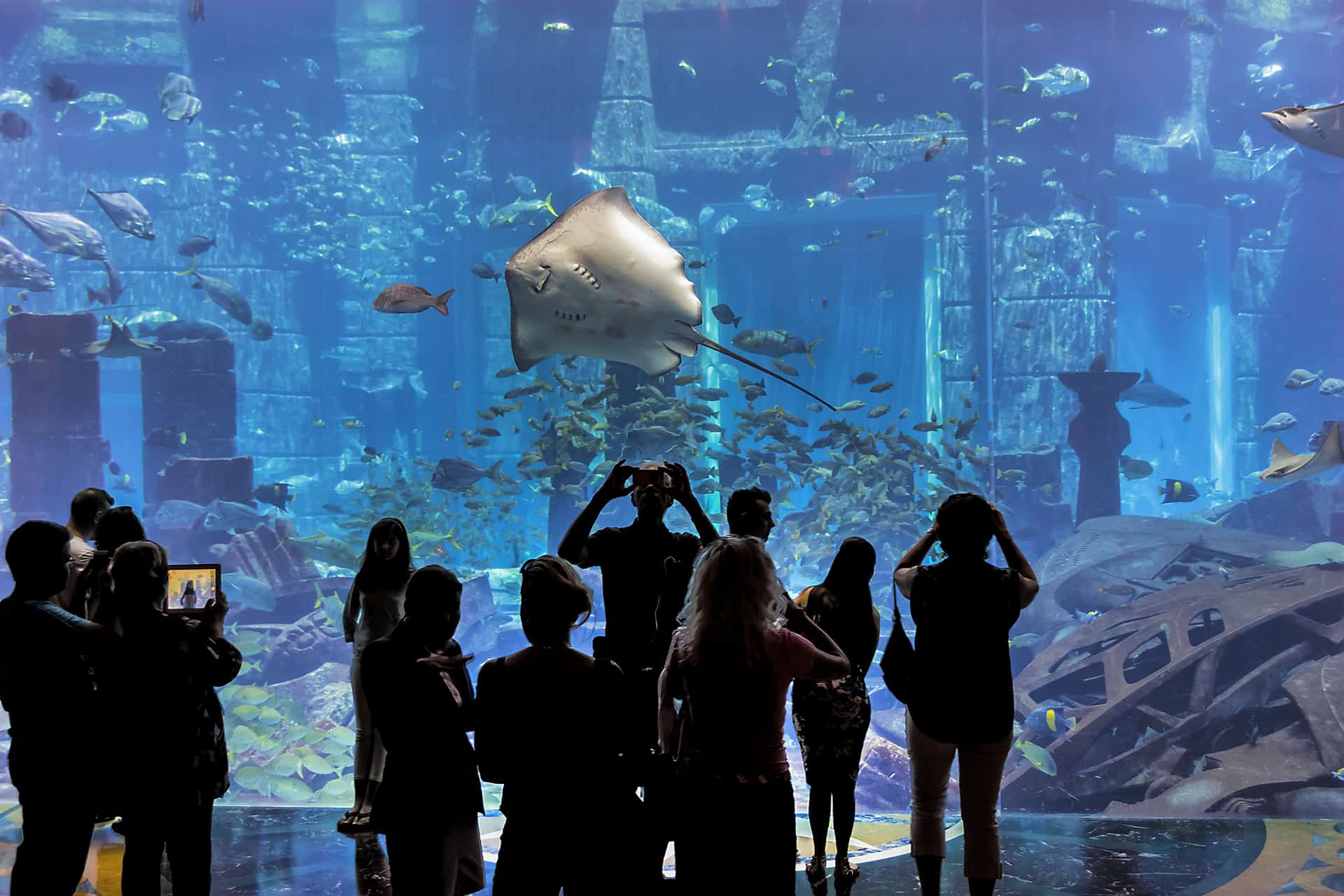 the lost chambers atlantis the palm the lost chambers