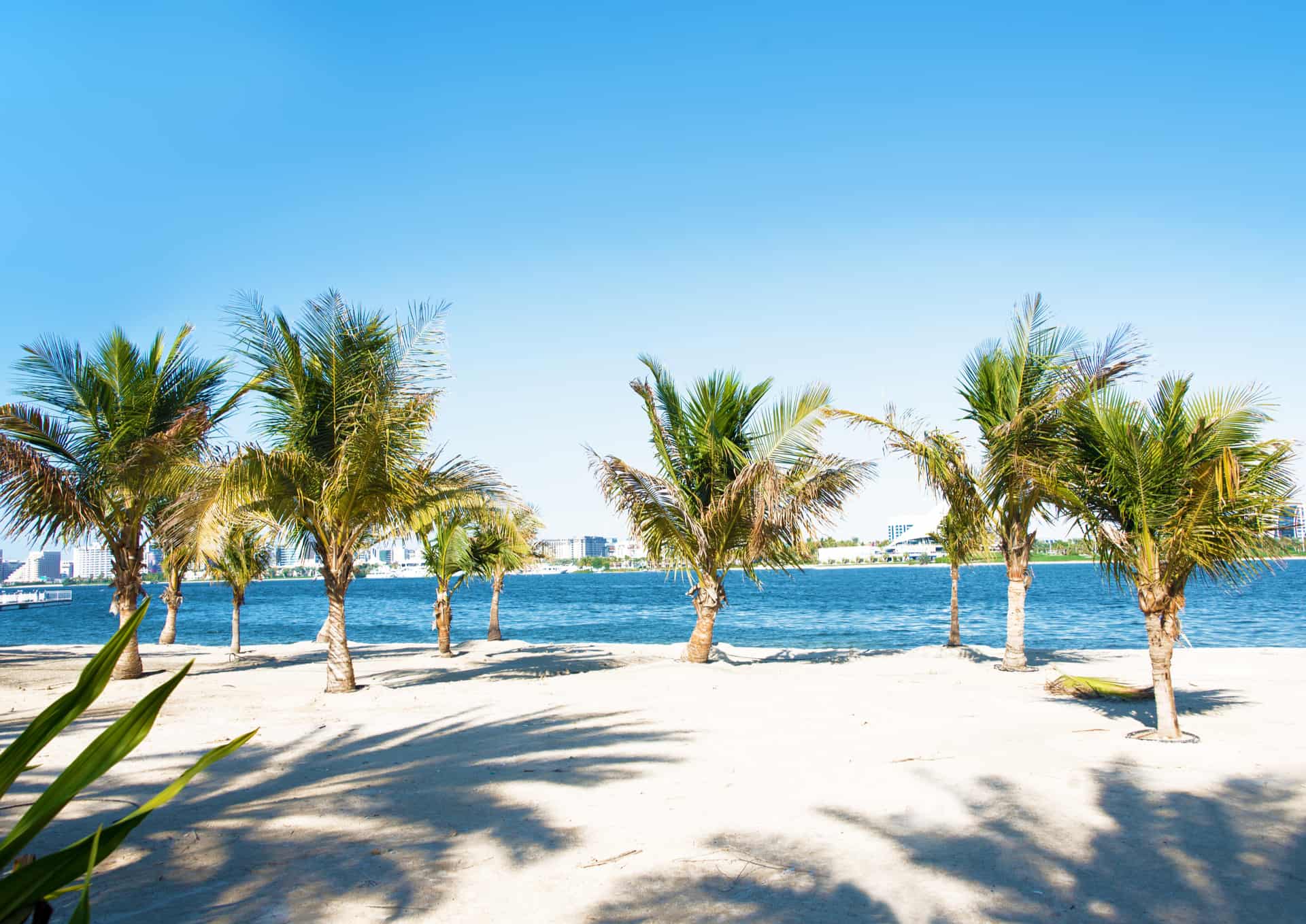 creekside park dubai creekside park dubai