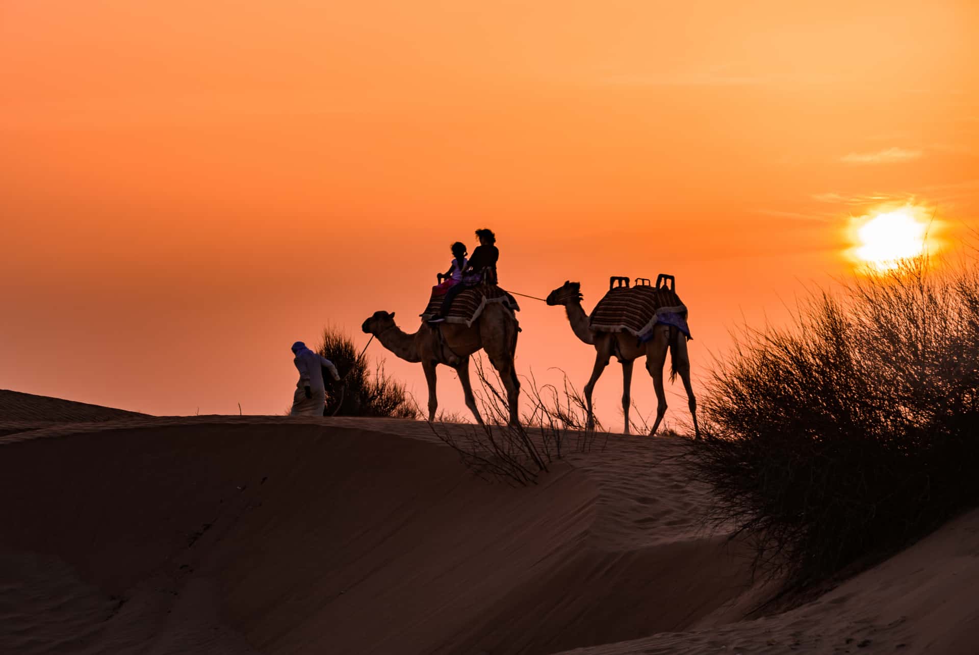 excursion desert dubai excursion desert dubai