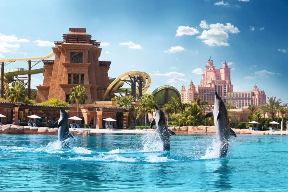 atlantis dolphin bay atlantis dolphin bay