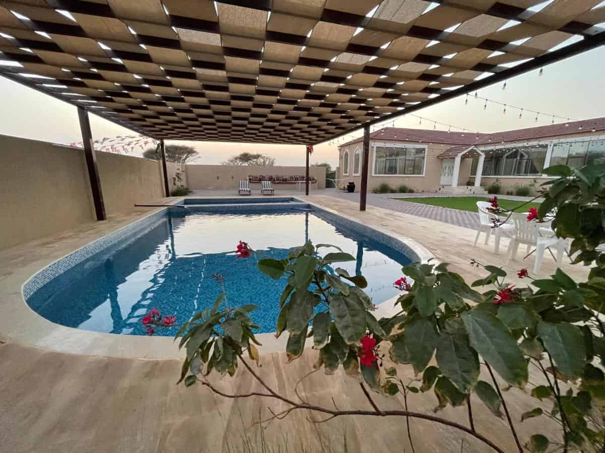 alreef farm dormir dubai alreef farm dormir dubai