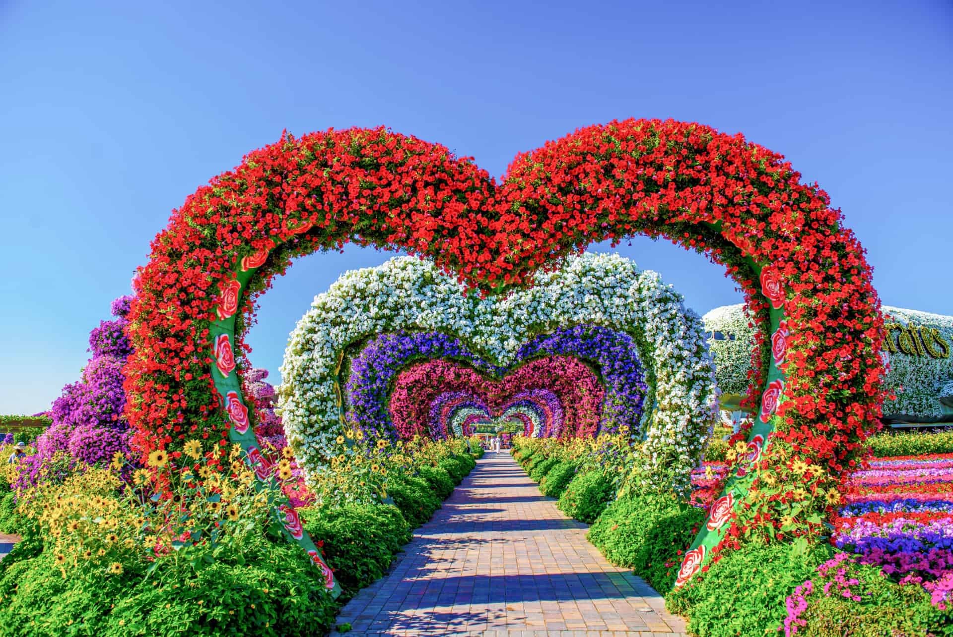 comment se rendre dubai miracle garden