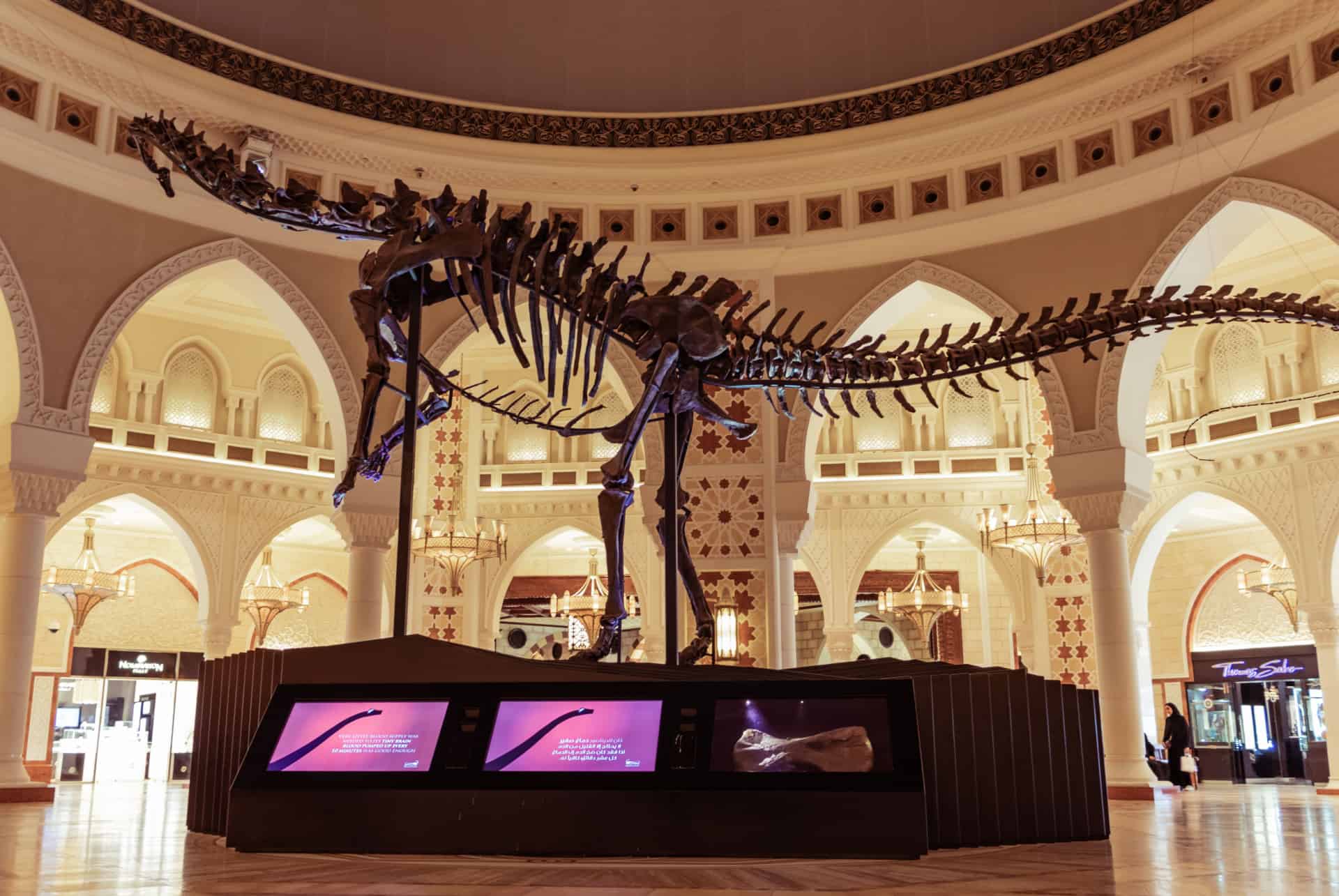 dubai dino dubai dino