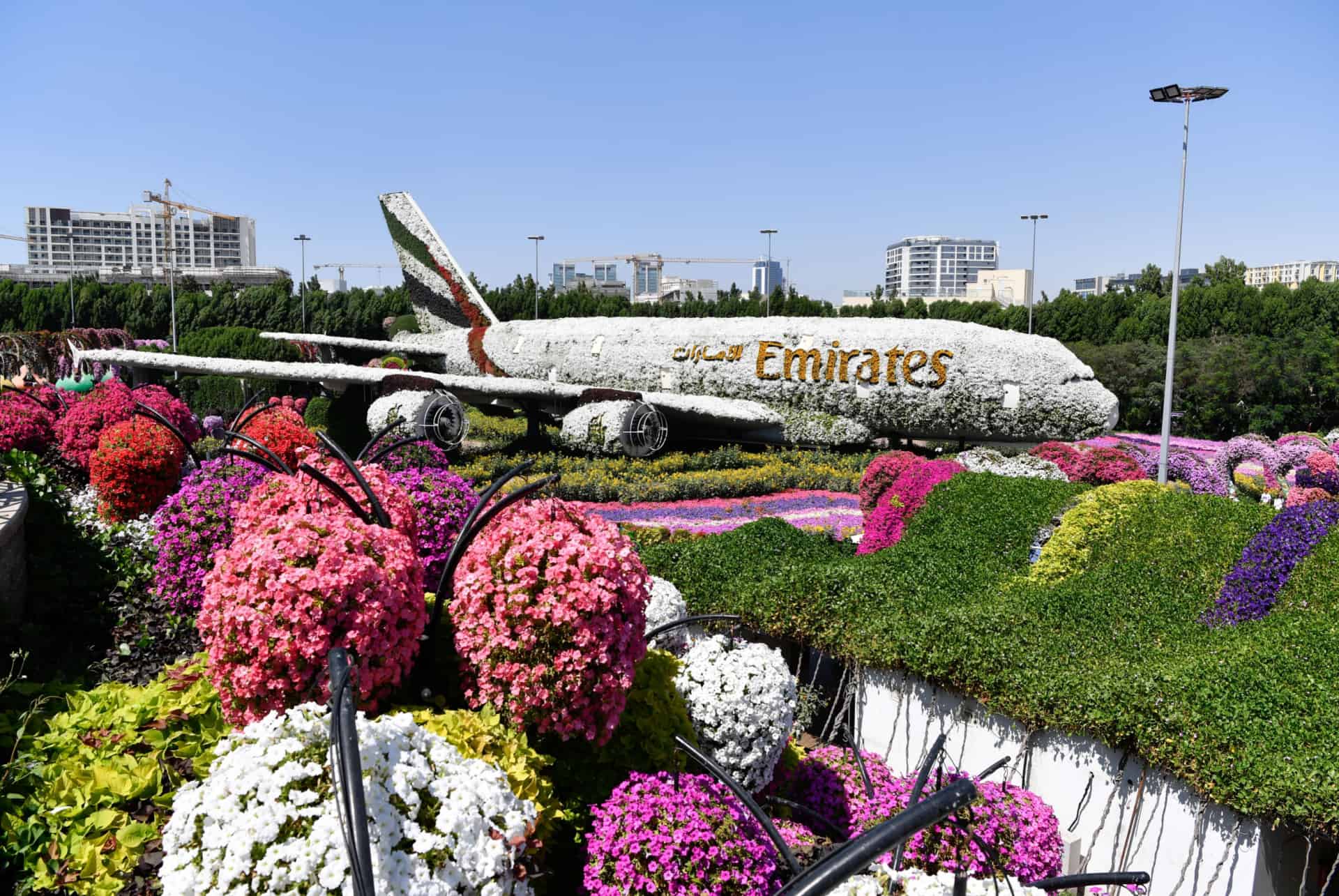 dubai miracle garden a380