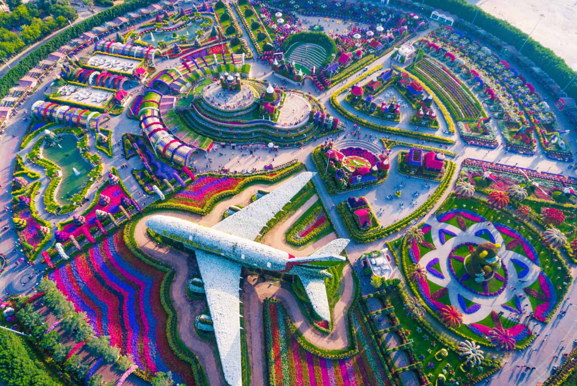 dubai miracle garden vue du dessus