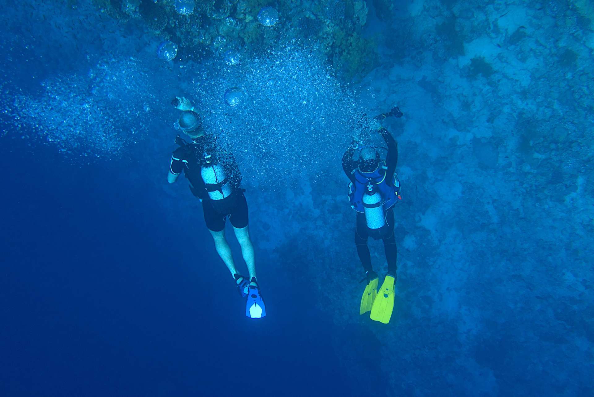 faire de la plongee a dubai