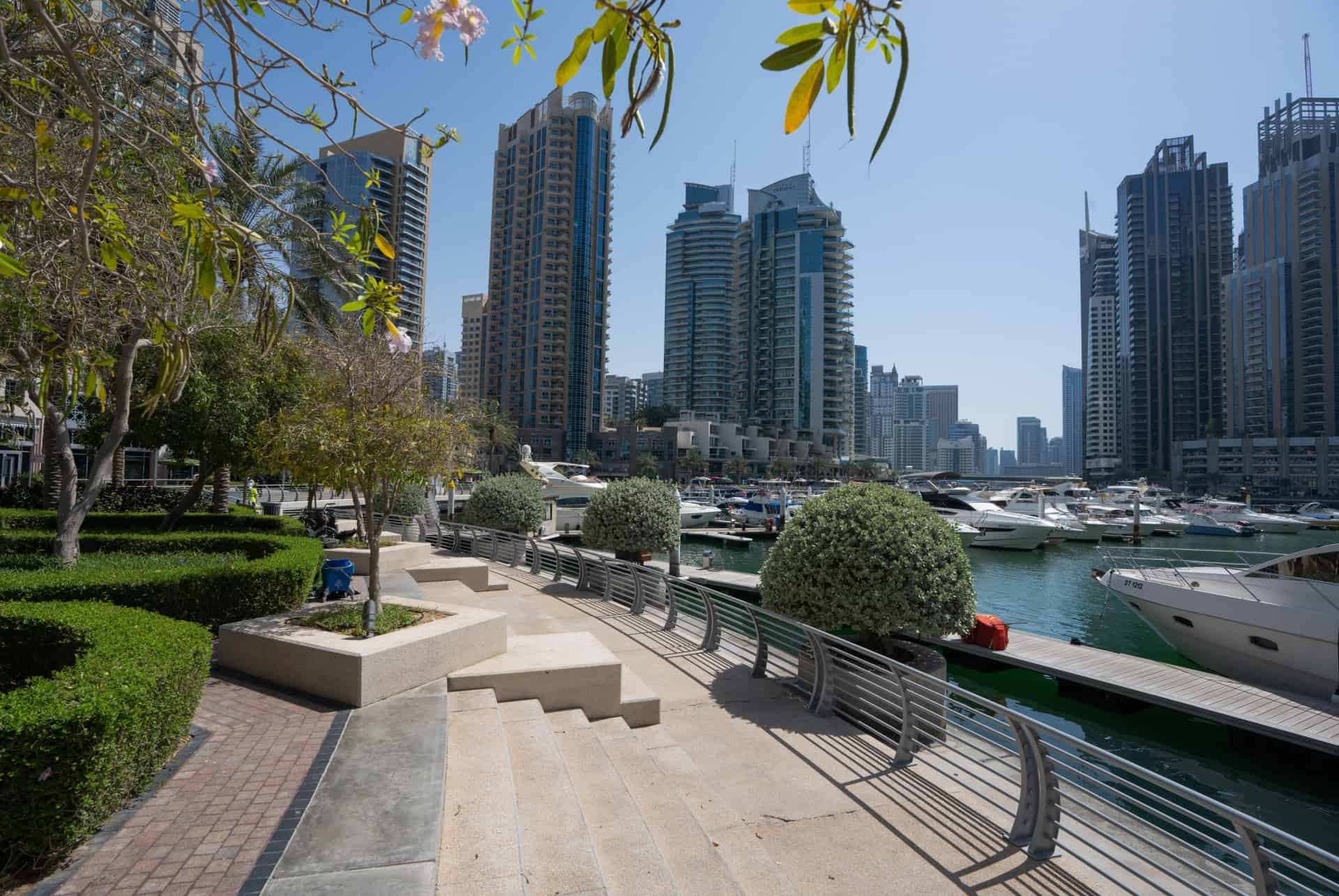 marina walk dubai the walk
