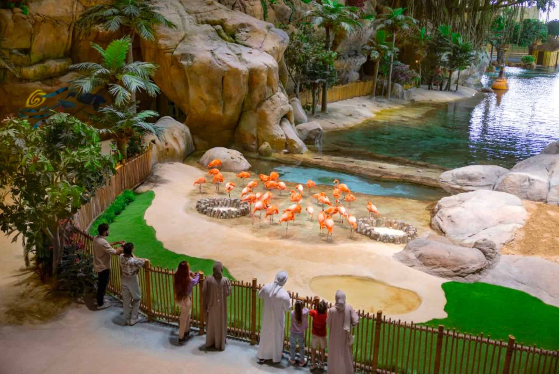 seaworld yas island seaworld yas island