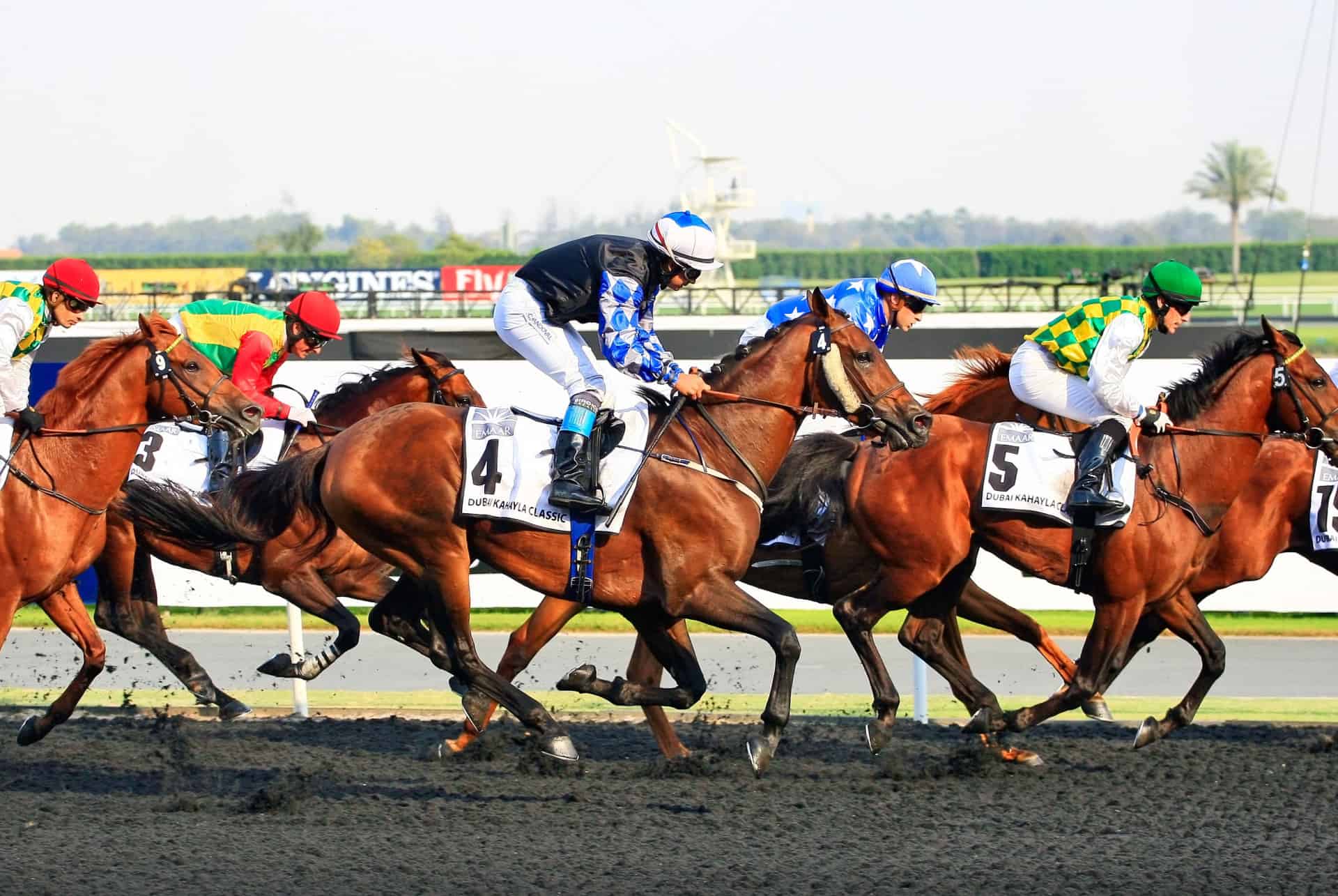 dubai en janvier world cup dubai en janvier world cup