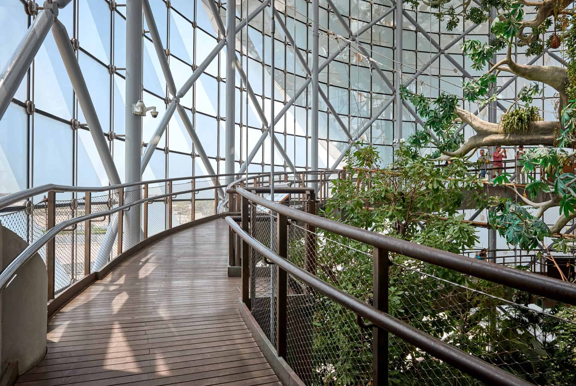 visiter the green planet visiter the green planet